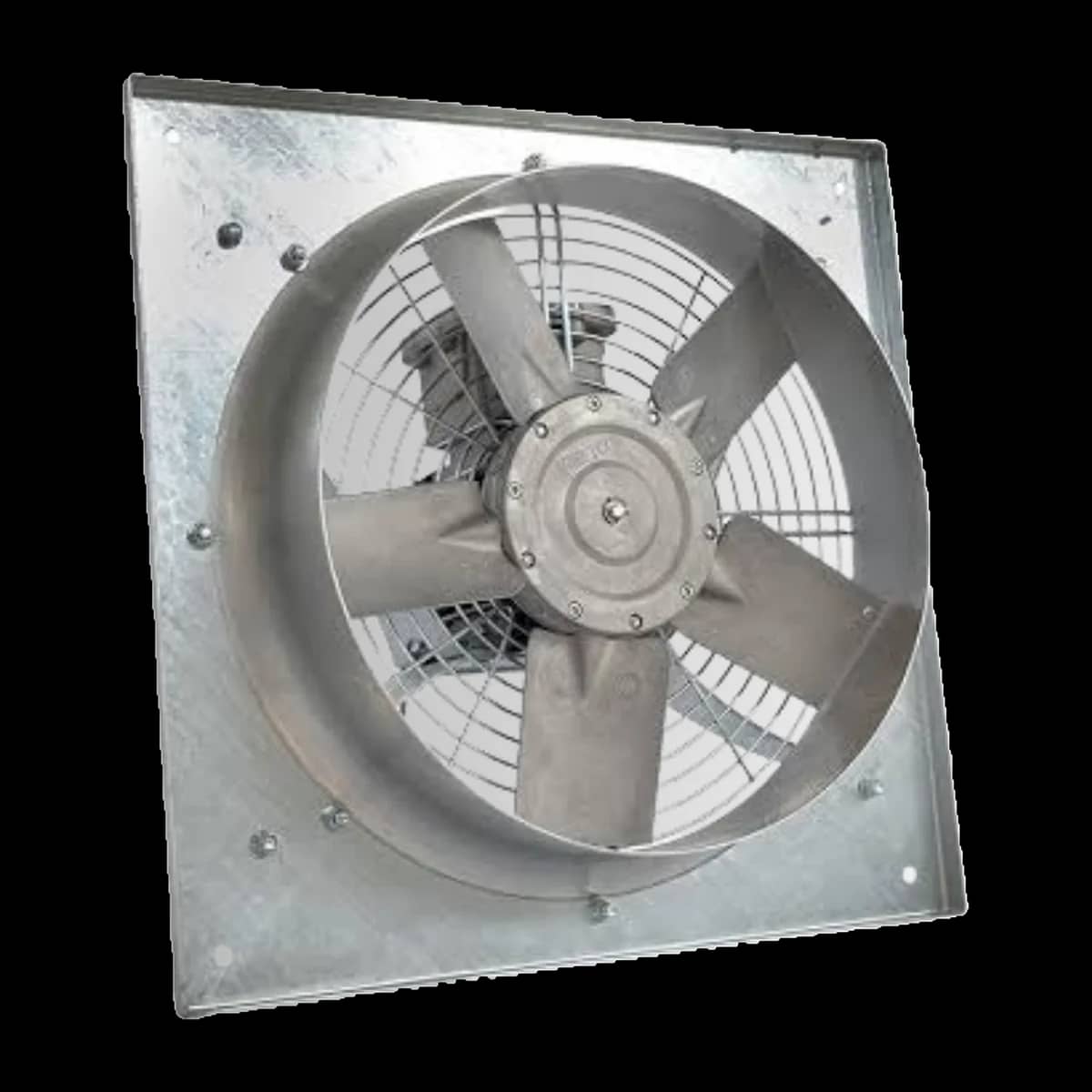 Exproof Fanlar — 2. görünüm