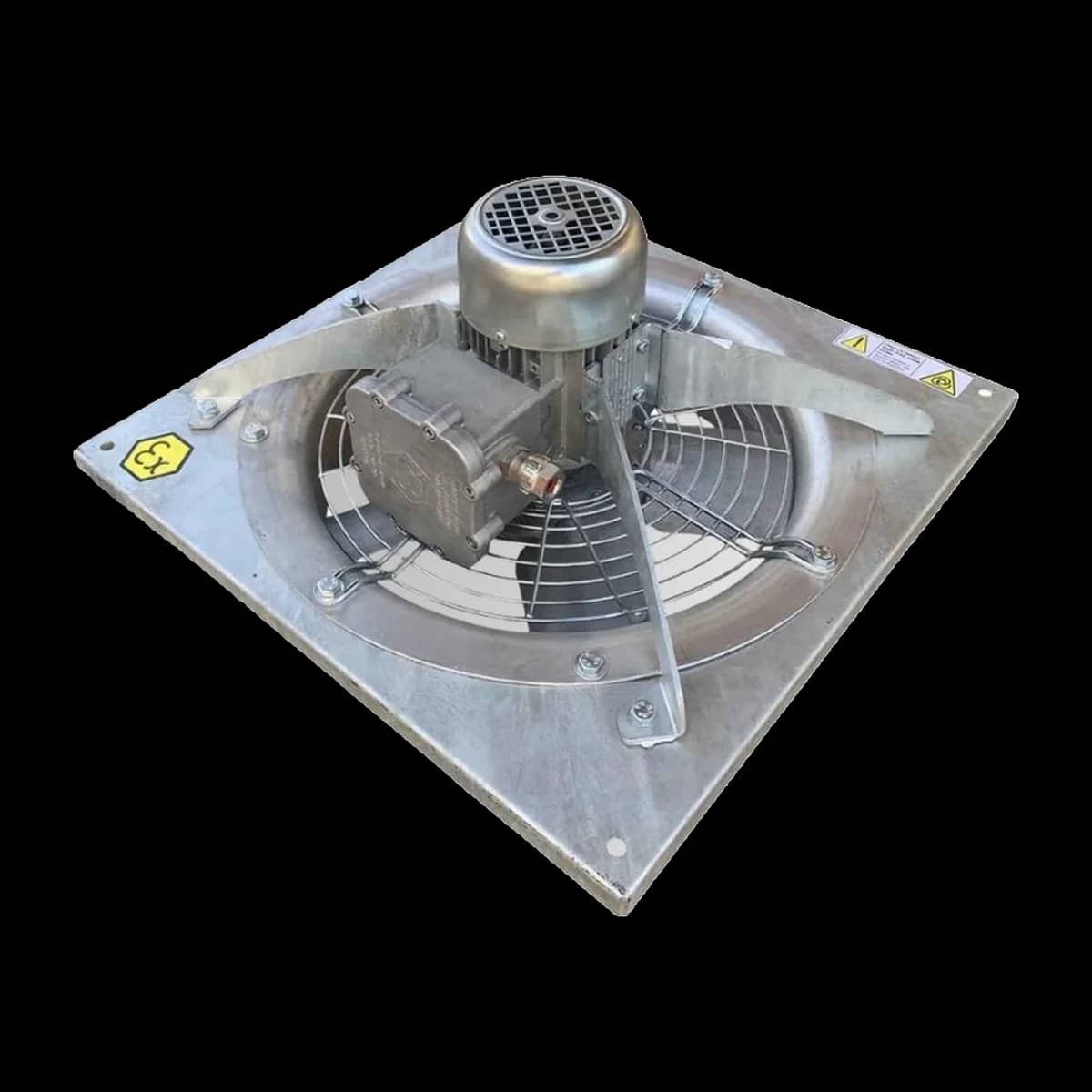 Exproof Fanlar — 4. görünüm