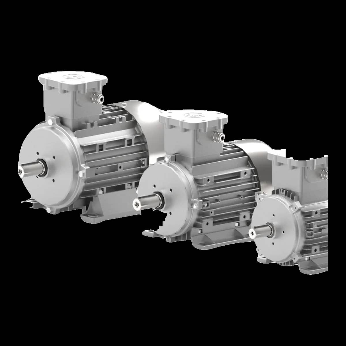 Exproof Motor — 4. görünüm