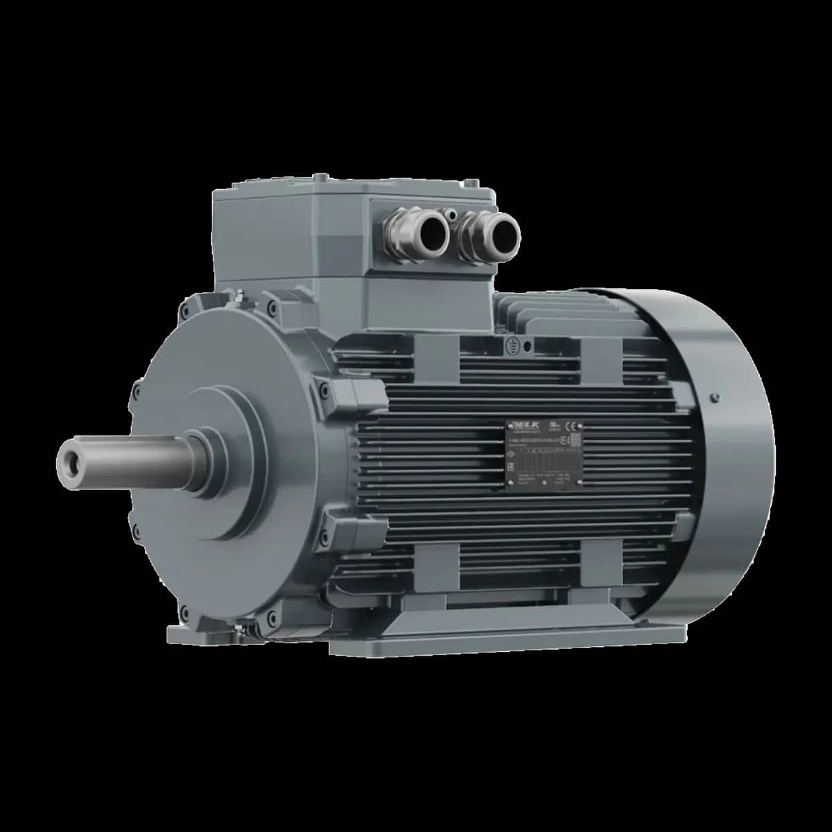 Exproof Motor — 5. görünüm